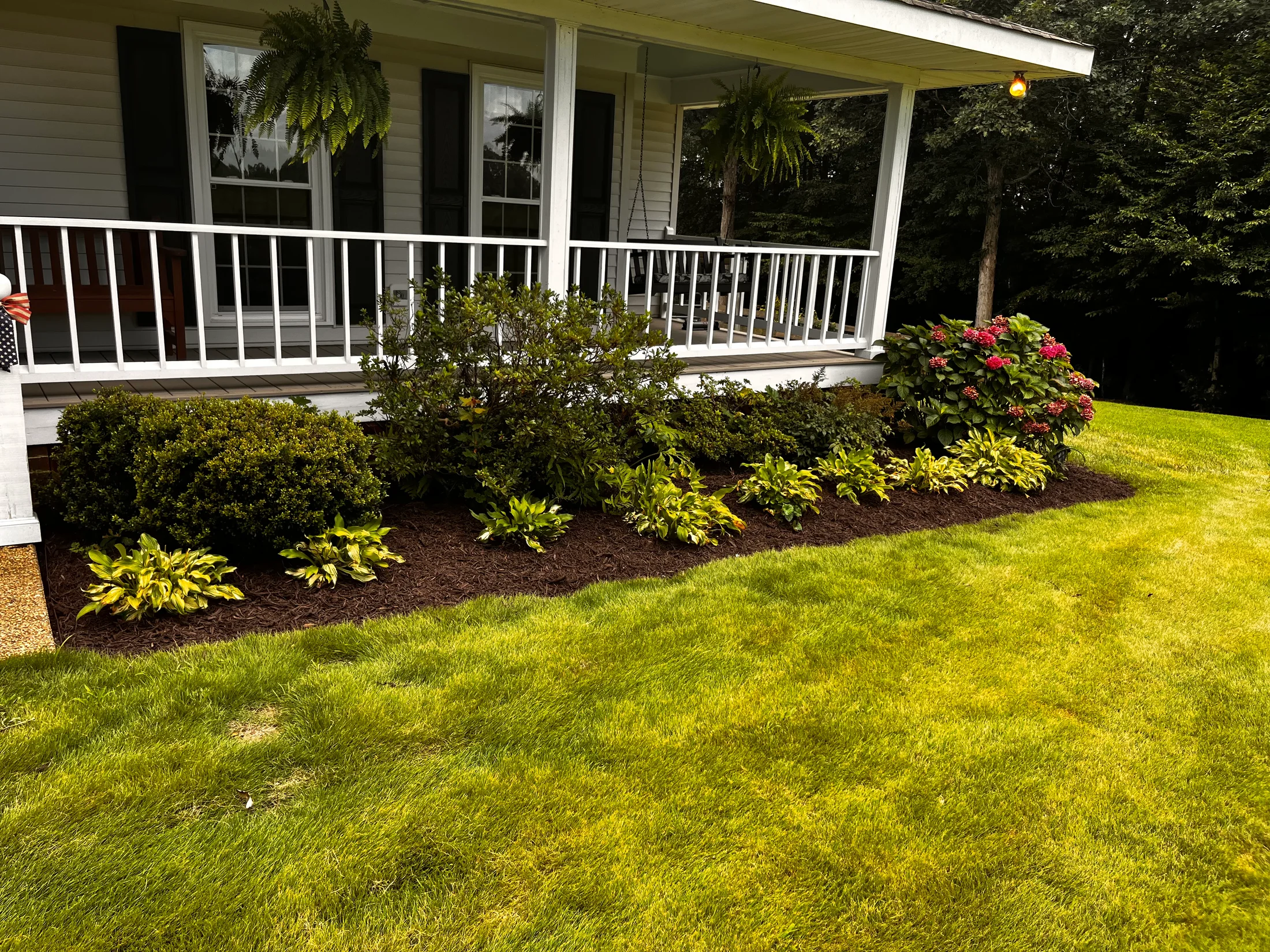 Mulched foundation planting with shrubs, hostas and hydrangeas beside a front porch