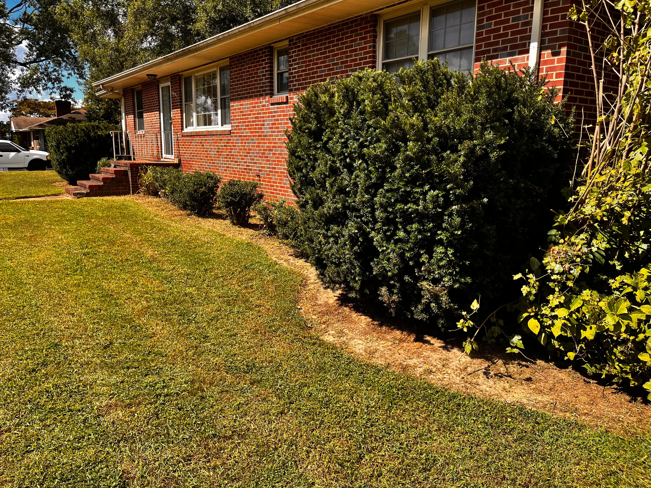 Trimmed foundation shrubs and cleared bed edges beside a brick home