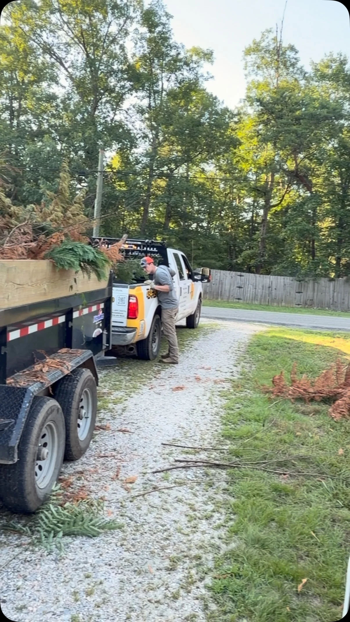 Sunny Landscaping worker loading cut tree branches into a dump trailer