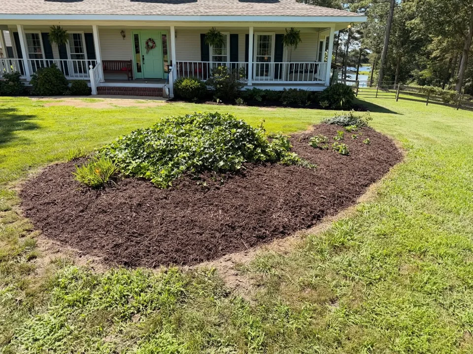 Curved mulched island bed in a front lawn with established shrubs