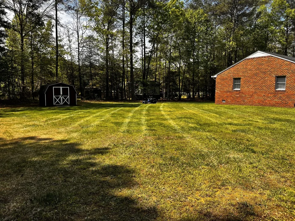 Mowed backyard lawn with visible stripes between a shed and a brick home