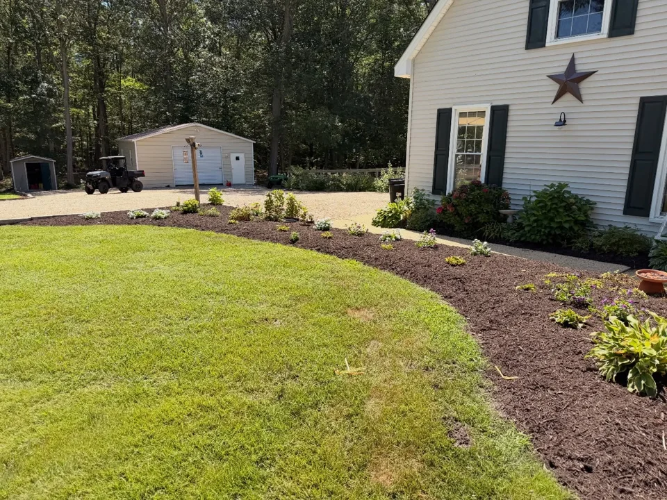Sweeping curved mulch bed with shrubs and young plants beside a house