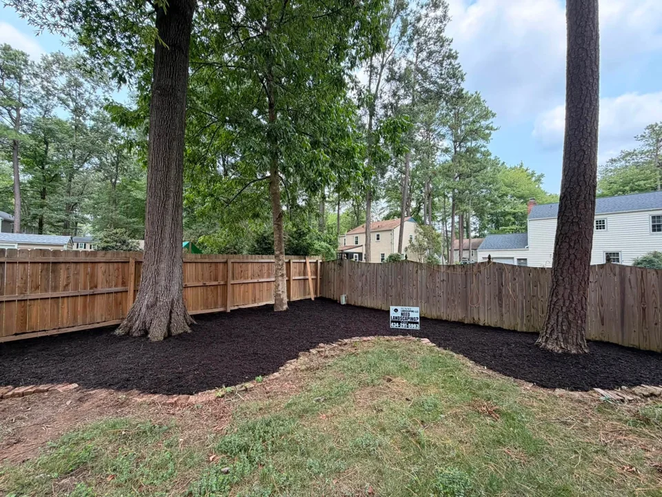 Broad dark mulch bed curving around mature trees beside a wooden fence